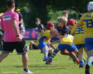 dsc_0390-5.jpg - JPEG - 510.3 ko - 2000×1325 px