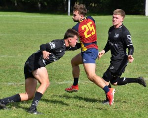 dsc_2463-3.jpg - JPEG - 332.4 ko - 1500×1202 px