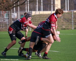 img_4916.jpg - JPEG - 493.9 ko - 2000×1600 px