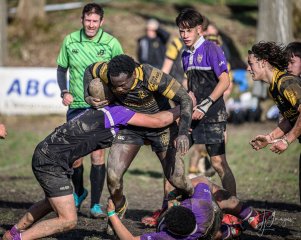 _nz88055.jpg - JPEG - 251.9 ko - 1024×819 px