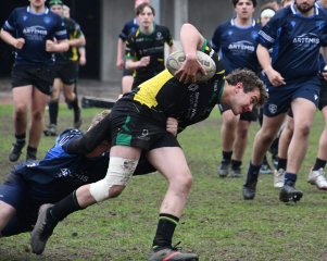 dsc_1893-2.jpg - JPEG - 603.6 ko - 2000×1325 px