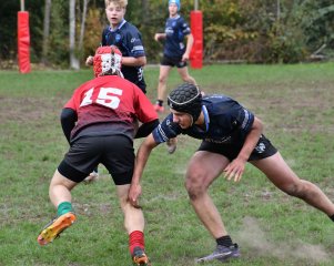 dsc_3809.jpg - JPEG - 513.4 ko - 2000×1325 px