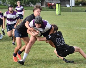 dsc_1961-3.jpg - JPEG - 181.6 ko - 2000×1333 px