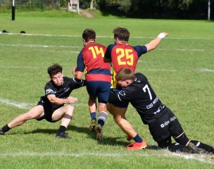 dsc_2465-4.jpg - JPEG - 359.3 ko - 1500×1186 px