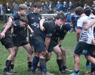 dsc_4434-6.jpg - JPEG - 241.8 ko - 2000×1325 px