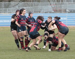 gp5f9432.jpg - JPEG - 494.5 ko - 2000×1577 px