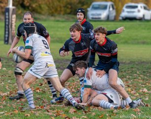 dsc08767.jpg - JPEG - 848.3 ko - 2000×1573 px