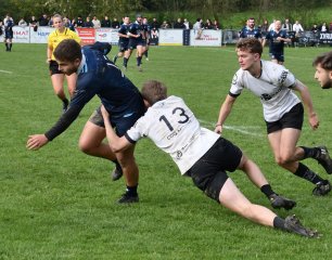 dsc_3479-3.jpg - JPEG - 561.8 ko - 2000×1572 px