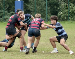 gp5f3001.jpg - JPEG - 424.9 ko - 2000×1571 px