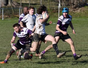 dsc_0004-7.jpg - JPEG - 232.6 ko - 2000×1339 px