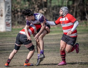 _nz82255.jpg - JPEG - 249.5 ko - 1024×793 px