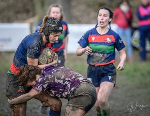 _nz88809.jpg - JPEG - 206.9 ko - 1024×794 px