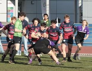 gp5f8033.jpg - JPEG - 549 ko - 2000×1551 px