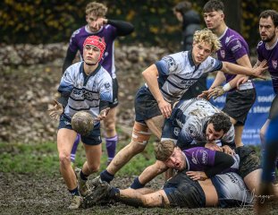 _nz87331.jpg - JPEG - 270.2 ko - 1024×791 px