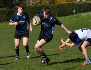 dsc_1213-2.jpg - JPEG - 310 ko - 2000×2835 px