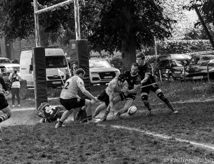 dsc06163.jpg - JPEG - 556.8 ko - 1500×1153 px