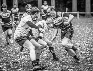 z63_4635.jpg - JPEG - 288.9 ko - 1024×783 px