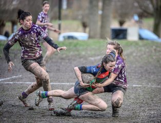 z63_7341.jpg - JPEG - 237.1 ko - 1024×783 px