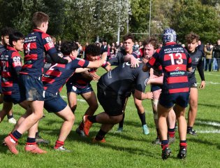 dsc_3135-2.jpg - JPEG - 599.2 ko - 2000×1325 px