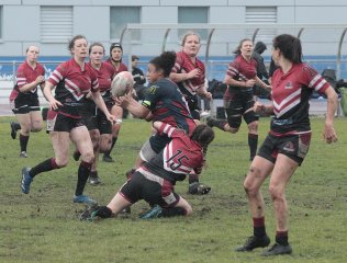 gp5f8240.jpg - JPEG - 519.4 ko - 2000×1521 px