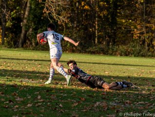 dsc08630.jpg - JPEG - 560.2 ko - 2000×1513 px