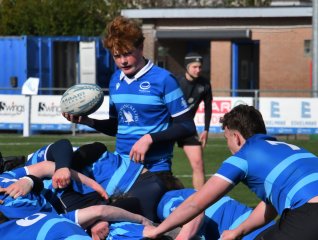 dsc_1464-2.jpg - JPEG - 173.2 ko - 2000×1325 px