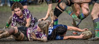 _nz88548.jpg - JPEG - 184.2 ko - 1024×463 px