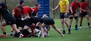 img_7331.jpg - JPEG - 299.5 ko - 2000×911 px