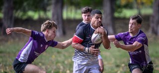 _nz86507.jpg - JPEG - 129.9 ko - 1024×470 px