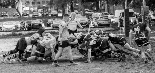 dsc06147.jpg - JPEG - 353.5 ko - 1500×711 px