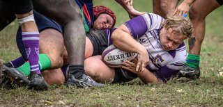 _nz85504.jpg - JPEG - 205.9 ko - 1024×492 px