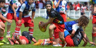 dsc_0551.jpg - JPEG - 257.6 ko - 1500×750 px