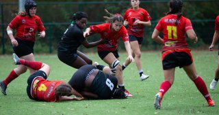 img_7289.jpg - JPEG - 337.1 ko - 2000×1052 px