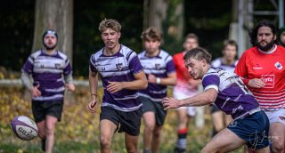 _nz86334.jpg - JPEG - 144.9 ko - 1024×549 px