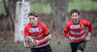 _nz87856.jpg - JPEG - 137.9 ko - 1024×549 px