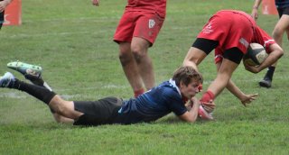 dsc_1610-3.jpg - JPEG - 232.3 ko - 2000×1325 px