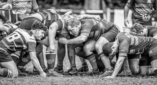 _nz85513.jpg - JPEG - 230.1 ko - 1024×554 px