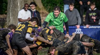 _nz88188.jpg - JPEG - 172.5 ko - 1024×557 px