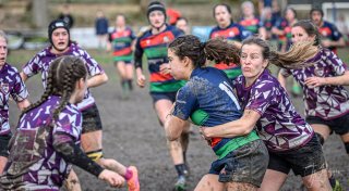 z63_7203.jpg - JPEG - 198.2 ko - 1024×561 px