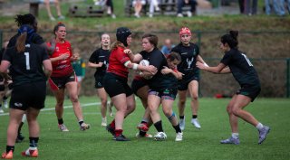 img_7315.jpg - JPEG - 321.5 ko - 2000×1101 px