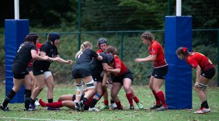 img_7290.jpg - JPEG - 378.8 ko - 2000×1111 px