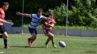 13-31.jpg - JPEG - 116.3 ko - 1100×742 px