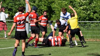 49-11.jpg - JPEG - 189.6 ko - 1500×1000 px