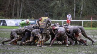 dsc02581-avec_accentuation-bruit.jpg - JPEG - 471 ko - 2000×1125 px