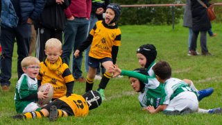 dsc02591_dxo_2048.jpg - JPEG - 373.3 ko - 2000×1125 px