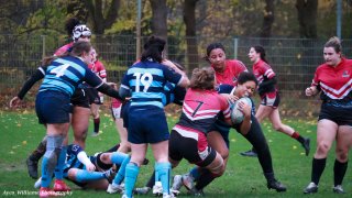 img_1576-3.jpg - JPEG - 398.3 ko - 2000×1125 px