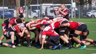 img_4410-3.jpg - JPEG - 442.1 ko - 2000×1125 px