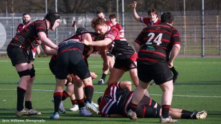 img_4861-2.jpg - JPEG - 394 ko - 2000×1125 px