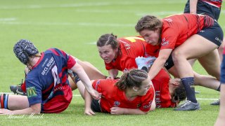 img_7677-3.jpg - JPEG - 186.1 ko - 1000×562 px