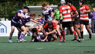 36-25.jpg - JPEG - 128.5 ko - 800×522 px